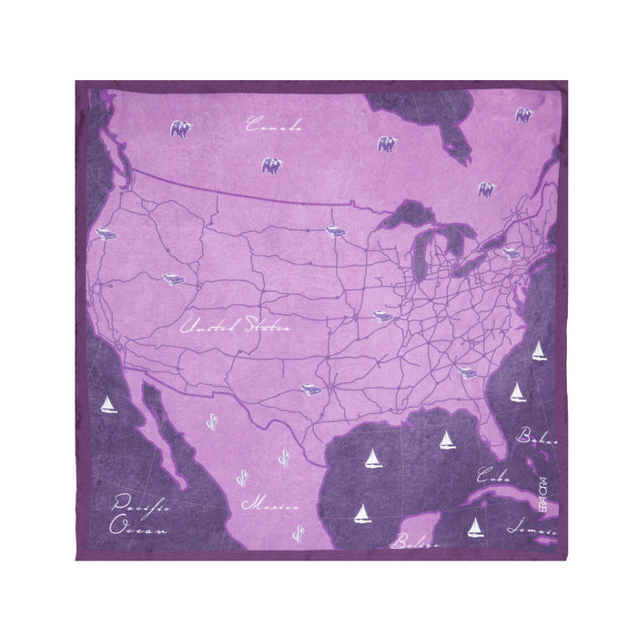 American Journey pocket square